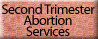 Second Trimester